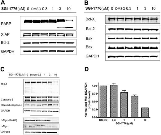 Figure 4. Immunoblot analysis of anti- and proapoptotic proteins and cell death in CLL cells treated with SGI-1776. CLL primary cells were treated with 0.1% vehicle DMSO alone or 0.3, 1, 3, or 10 μmol/L SGI-1776 for 24 hours, then harvested and lysed. The protein levels of (A) PARP, XIAP, and Bcl-2 were immunoblotted from lysates (patient no. 2); (B) Bcl-XL, Bcl-2, Bak, and Bax (patient no. 4); and (C) Mcl-1, caspase-3, and cleaved caspase-3, total c-Myc, and phospho c-Myc(Ser62) were analyzed by immunoblot and normalized by the use of GAPDH as a loading control. (D) Quantitation of Mcl-1 protein levels normalized to GAPDH levels in CLL cells (patients nos. 1-4) treated with SGI-1776 as detected by immunoblot. The results represent the mean ± SEM from 4 patient samples.