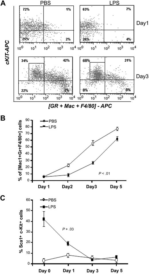 Figure 5. P aeruginosa's LPS causes defective myeloid differentiation. C57BL/6J mice were injected intraperitoneally with P aeruginosa's LPS (0.8 mg/kg) or PBS. BM was harvested at 24 hours from injection, and Lin− cells were sorted by FACS and grown in vitro in prodifferentiative conditions in the presence of SCF, IL-3, and G-CSF. Cells were harvested at the indicated time points and analyzed for expression of differentiation markers by flow cytometry. (A) Dot blots shows expression of c-Kit and of a combination of myeloid differentiation markers (Gr1 + Mac1 + F4/80) at day 1 and day 3 of culture in a representative experiment. (B) Line graph represents acquisition of the myeloid markers (Gr1, Mac1, F4/80) over time. Values represent average percentages of 3 samples from a representative experiment of 3 independent experiments. Error bars indicate SD. Day 3 *P < .001. (C) Line graph shows kinetic of LSK cells in culture in 3 independent experiments. Values represent average percentage of LSK cells (n = 7).