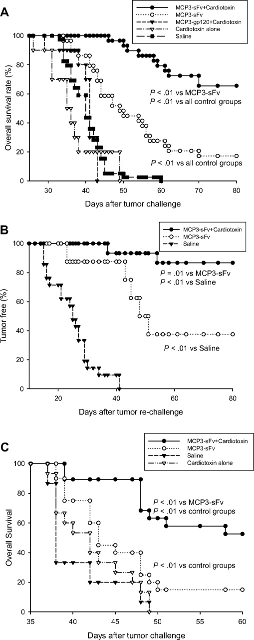 Figure 3. The combined vaccination therapy elicited memory and therapeutic antitumor immunity. (A) For primary challenge, 10 BALB/c mice per group were vaccinated with 50 μg MCP3-sFv plasmid DNA together with cardiotoxin as in Figure 1. Control mice were injected with plasmid DNA without cardiotoxin pretreatment, with PBS, or with cardiotoxin alone, or with plasmid DNA encoding an irrelevant, HIV gp120 antigen, fused with MCP3. After 3 vaccinations, all mice were challenged with a lethal dose of 2 × 105 A20 lymphoma cells by intraperitoneal injection and followed for survival for 80 days. (B) Tumor-free mice collected from the primary challenge experiments were rechallenged with 2 × 105 A20 tumor cells intraperitoneally and followed for survival. Data represent combined results from 3 independent experiments. Survival differences between groups were analyzed using the log-rank test. (C) In therapeutic studies, 10 BALB/c mice per group were first inoculated with 2 × 105 A20 tumor cells intraperitoneally on day 0. On days 1, 4, 8, and 18 the mice were then vaccinated with plasmid DNA encoding MCP3-fused idiotype sFv with or without cardiotoxin pretreatment 5 days before the first and last vaccination. Control mice were injected with cardiotoxin or PBS alone. Data represent combined results from 2 independent experiments.