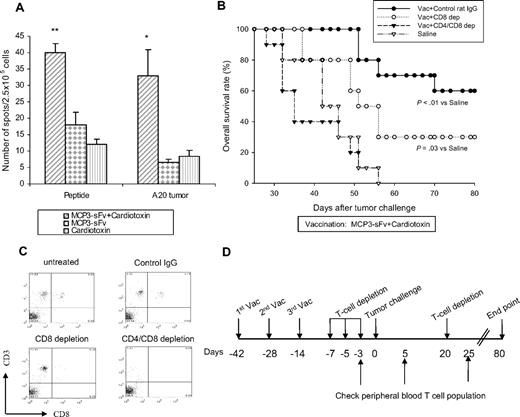 Figure 4. Combined cardiotoxin and DNA vaccine elicited potent, T cell–dependent, tumor antigen–specific immunity. (A) Splenocytes pooled from 5 BALB/c mice were injected intramuscularly with MCP3-sFv plasmid DNA with or without cardiotoxin as in Figure 1, or cardiotoxin alone. Ten days earlier they were stimulated in vitro with bone marrow–derived DCs pulsed with 5 μg/mL MHC class I–binding A20 idiotype epitope peptide23 for 5 days. The stimulated cells (2 × 105/well) were plated with either the peptide or irradiated A20 tumor cells at a 5:1 T cell/stimulator ratio,24 respectively, and analyzed for INFγ production by ELISPOT after 48 hours. Differences between groups were analyzed using the Student t test (**P < .01; *P < .05). The error bars represent SEM. (B-D) In vivo T-cell depletion was achieved by intraperitoneal injection of 200 μg anti-CD8 mAb (clone 2.43 alone, CD8 depletion) or with 200 μg anti-CD4 mAb (clone GK1.5, CD4/CD8 depletion) according to the schedule in panel D. T-cell depletion was performed on mice vaccinated with cardiotoxin plus MCP3-sFv DNA vaccine as in Figure 1 (10 BALB/c mice per group). Controls received rat IgG instead of T-cell depletion antibodies. After confirming the efficiency of T-cell depletion, which was determined by the presence of CD8 and CD4 T cells in the peripheral blood samples (C), all the mice were challenged with 2 × 105 A20 tumor cells as shown in Figure 1 and followed for survival for 80 days. The data represent 2 independent experiments.