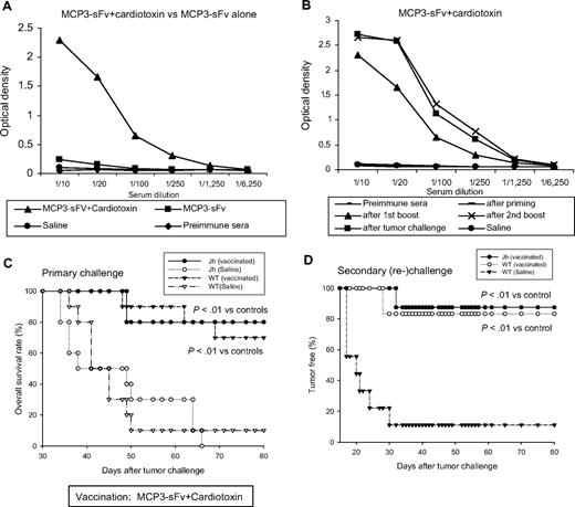 Figure 5. Anti-idiotype antibody response was not required for the vaccine-induced tumor protection. (A-B) Serum samples obtained from mice vaccinated as in Figure 1 were examined for anti-idiotype antibodies by enzyme-linked immunoabsorbent assay with the use of plates coated with recombinant A20 idiotype protein (gift from D. Gold, Favrille Biotech).25 Bound antibodies were detected by HRP-conjugated anti–mouse IgG1. Anti-idiotype antibodies were primarily observed after the first boost dose, peaking after the second boost, and persisting after tumor challenge. (C) Ten wild-type BALB/c (WT) or antibody-deficient Jh mice per group were vaccinated with MCP3-sFv DNA plus cardiotoxin as shown in Figure 1 or with saline and then challenged with tumor and followed for survival. (D) Tumor-free Jh and WT mice from vaccinated groups as in panel C were rechallenged with tumor and followed for survival (Jh, n = 8; WT, n = 7).