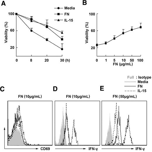 Figure 1. Fibronectin maintains the survival of mouse NK cells in vitro. (A) DX5+ natural killer (NK)–cell populations isolated from splenocytes of wild-type mice by magnetic-activated cell sorting were cultured in the presence or absence of fibronectin (FN, 10 μg/mL) or IL-15 (10 ng/mL), then labeled with annexin V and 7-amino-actinomycin D and assessed for their viability by FACS at the indicated times. (B) NK cells were cultured in the presence of fibronectin at different concentrations and their viability was detected using FACS 24 hours later. (C-D) NK cells were cultured for 24 hours in the presence of 10 μg/mL fibronectin and then CD69 expression on the NK cells was tested using FACS (C) and the level of IFN-γ in the supernatant was detected by cytometric bead array technology (D). (E) NK cells were cultured in the presence of 50 μg/mL fibronectin and then IFN-γ was detected 24 hours later. All data are shown as the mean ± SD of 3 independent experiments.