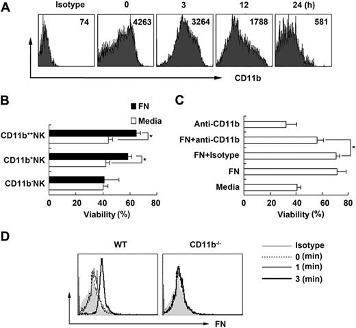Figure 2. Fibronectin maintains NK-cell survival via CD11b. (A) The expression of CD11b on NK cells isolated from mouse splenocytes and cultured in vitro at the indicated times is shown. (B) Three subsets of splenic NK cells were sorted according to the expression of CD11b using MoFlo sorting system and cultured in the presence of fibronectin, and then viability was detected 24 hours later. (C) Sorted mouse NK cells were precultured with or without the neutralizing anti-CD11b antibody, then cultured in the presence of fibronectin and the viability was detected 24 hours later. Isotype indicates isotype control for antibody to CD11b. (D) NK cells sorted from CD11b−/− mice or littermate control were cultured in the presence of fibronectin and then collected, fixed, washed immediately at the indicated times, and labeled with antifibronectin antibody. The fibronectin bound to the surface of NK cells was tested by FACS. Data are shown as 1 typical result from 3 independent experiments with similar results or as mean ± SD of 3 independent experiments. *P < .05.