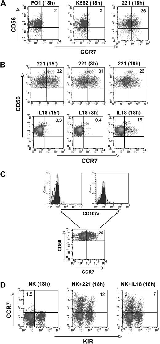 Figure 1. Acquisition of CCR7 surface expression by CD56dull NK cells. (A-D) Freshly isolated NK cells were purified and cultured for 18 hours either in medium alone or in the presence of the indicated HLA-class I–negative cell lines and then analyzed by 2-color immunofluorescence for the expression of C-C chemokine receptor type 7 (CCR7) in combination with CD56 (A). (B) Freshly isolated natural killer (NK) cells were cultured with the 221 cell line or in the presence of exogenous IL-18 for different time points and analyzed for CCR7 expression in combination with CD56. In both panels A and B, the values reported in the top right corners indicate the percentage of CD56+ CCR7+ NK cells. (C) Polyclonal IL-2–activated NK cells were cultured for 1 hour in the presence of the HLA-class I–negative 221 cell line and then analyzed by 2-color immunofluorescence for the expression of CCR7 in combination with CD56. Both CD56+ CCR7− and CD56+ CCR7+ NK cells were also analyzed for CD107a expression. Data are representative of 3 independent experiments performed using different donors. (D) CD56dull NK cells that had acquired the CCR7+ phenotype after 18 hours of coculture with the 221 cell line or exogenous IL-18 were analyzed for KIR expression using a mixture of anti-KIR mAbs. The values reported in the top left and in the top right corners indicate the percentage of CD56+ KIR− and of CD56+ KIR+ NK cells, respectively. These experiments are representative of 12 independent experiments performed using different donors.