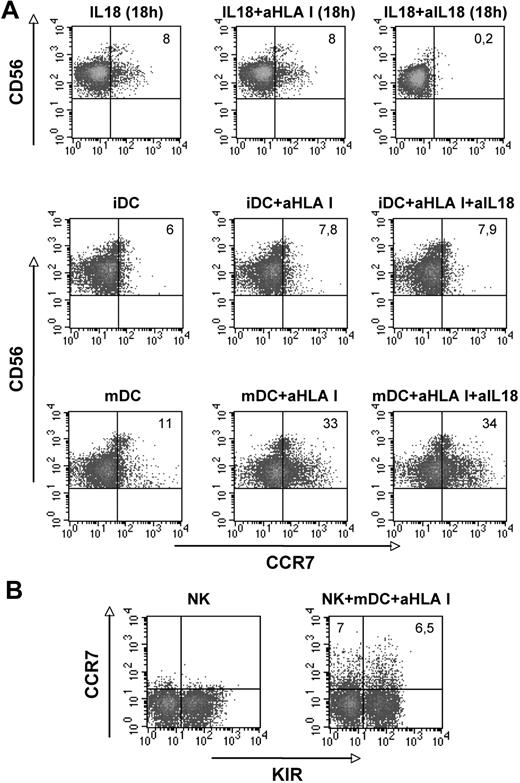 Figure 3. Analysis of the CCR7 surface expression on CD56dull NK cells upon interaction with either immature or mature DCs. (A-B) Freshly isolated NK cells were purified and cocultured for 1 hour with immature DCs (iDCs) or mature dendritic cells (mDCs) in the absence or in the presence of anti–HLA I mAbs or in the presence of anti–HLA I mAbs plus neutralizing anti–IL-18 mAb (A middle and bottom lines) and assessed for CCR7 expression. Control cultures were performed with exogenous IL-18 for 18 hours to verify the efficiency of the neutralizing anti–IL-18 mAb (A top line). The values reported in the top right corners indicate the percentage of CD56+ CCR7+ NK cells. (B) NK cells that had acquired the CCR7+ phenotype after 1-hour coculture with mDCs, in the presence of anti–HLA-class I mAb, were analyzed for KIR expression using a mixture of anti-KIR mAbs. The values reported in the top left and in the top right corners indicate the percentage of CD56+ KIR− and of CD56+ KIR+ NK cells, respectively. Data are representative of 10 independent experiments performed using different donors.