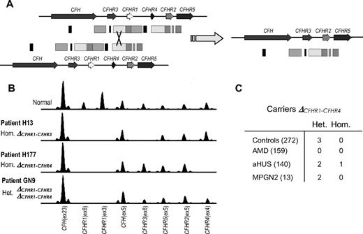 Figure 3. Identification of ΔCFHR1-ΔCFHR4 deletion by MLPA. (A) Nonhomologous recombination event between homologous regions of the CFHR1 and CFHR4 genes that could have resulted in the ΔCFHR1-ΔCFHR4 deletion. (B) Electropherograms of the MLPA analyses showing heterozygous and homozygous deletions in patients with aHUS. (C) Frequency of the novel ΔCFHR1-ΔCFHR4 deletion in control persons and patients.