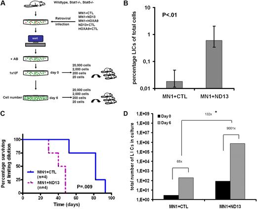 Figure 1. The leukemia-initiating cell frequency and expansion potential are greatly increased in a 2-oncogene compared with a 1-oncogene model of acute myeloid leukemia. (A) Experimental design of limiting dilution assay for LIC and assessment of LIC expansion potential during 6 days of in vitro culture. (B) LIC assay from bone marrow cells expressing 1 (MN1+CTL) or 2 (MN1+ND13) oncogenes. Cells were cultured ex vivo for infection and selection for 21 days. Results of 2 independent experiments were analyzed together after observation of mice for 16 weeks (n = 4-7 per cell dose, 95% CI). LIC frequency and 95% CI were calculated by Poisson statistics. (C) Survival curves for mice that received a transplant of a cell dose at limiting dilution either transduced with MN1+CTL (n = 4) or MN1+ND13 (n = 4). (D) Consecutive CRU assays (5 cell doses) before and after a 6-day culture period from MN1+CTL- compared with MN1+ND13-expressing cells. Cells were cultured ex vivo for infection and selection for 13 days (corresponds to day 0 of expansion experiment), and 105 cells were plated on day 0. LIC frequency was calculated by Poisson statistics. *P < .01 for day-6 LIC frequency MN1+CTL versus MN1+ND13. AB indicates antibiotics for selection of transgene-expressing cells; CTL, control; and ND13, NUP98HOXD13 fusion gene