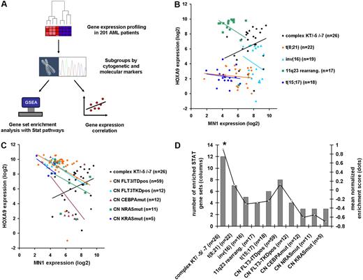 Figure 6. STAT signaling is most highly activated in AML patients with poor prognosis and is associated with MN1 and HOXA9 co-overexpression. (A) Experimental design and analysis algorithm of gene expression and pathway analysis in 201 AML patients of defined cytogenetic or molecular subgroups. (B-C) Correlation of gene expression of MN1 and HOXA9 genes in 201 AML patients according to cytogenetic (B) and molecular (C) subgroups. Complex karyotype/loss of chromosome 5/loss of chromosome 7 AML is the only subgroup with positively correlated MN1 and HOXA9 expression, and with high expression of both genes. (D) Results of gene set enrichment analysis with 13 STAT signaling gene sets in AML patient subgroups using previously published gene expression profiles. Bars represent number of significantly enriched gene sets in subgroup (scale on left axis); line represents mean normalized enrichment score of the 13 gene sets tested (scale on right axis). *P < .02 for comparison of mean NES score in patients with complex karyotype/−5/−7 with any other cytogenetic or molecular subgroup.