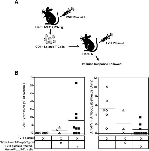 Figure 3. Modulation of immune responses induced by FVIII plasmid injection after adoptive transfer of CD4+Foxp3+ T cells from FVIII plasmid-treated HemA/Foxp3-Tg mice into naive HemA mice. CD4+ T cells were isolated from the spleens of HemA/Foxp3-Tg mice 2 weeks after FVIII plasmid treatment (n = 9), and from untreated HemA/Foxp3-Tg mice (n = 3), and adoptively transferred into naive HemA mice. Recipient mice as well as a control group of naive HemA mice (n = 6) were subsequently challenged with FVIII plasmid injection 1 day after adoptive transfer. (A) Flow chart showing overview of these adoptive transfer experiments. (B) FVIII activities and anti-FVIII antibody titers were measured (as described in Figure 2) 3 weeks after adoptive transfer and FVIII plasmid injection.