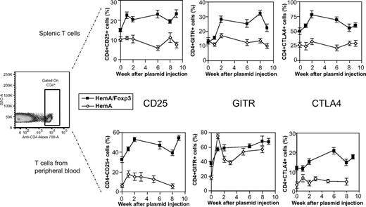 Figure 4. Staining of Treg markers in FVIII plasmid-treated HemA and HemA/Foxp3-Tg mice over time. Single-cell suspensions were prepared from spleens and peripheral blood of FVIII plasmid-treated HemA and HemA/Foxp3-Tg mice (n = 2/group) at different time points and stained for CD4, CD25, GITR, and CTLA4 expression. The cells were first gated for CD4 expression. The percentages of CD4+CD25+, CD4+GITR+, and CD4+CTLA4+ cells were determined over time; splenic cells are shown in the top panel, and peripheral blood lymphocytes in the bottom panel.