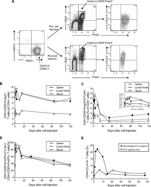 Figure 7. Staining of Treg markers on endogenous CD45.1+T cells in Treg recipient mice. Adoptive transfer of Tregs into HemA mice, FVIII plasmid challenge, and preparation of single-cell suspensions from spleens, lymph nodes, and peripheral blood of the recipient mice were described in Figure 6. The plasmid-only–treated HemA mice without adoptive transfer were used as controls. The cells were stained with CD4, Foxp3, CD45.1, CD45.2, CD25, and CTLA4 markers. (A) Representative dot plots of stained cells. The percentages of (B) Foxp3+CD25+ cells and (C) Foxp3+CD25+CTLA4+ cells in CD4+T cells and (D) CTLA4+ cells in CD4+Foxp3+CD25+T cells isolated from Treg recipient mice were evaluated over time (spleen, ♦; lymph node, ○; peripheral blood, Δ). (E) The percentages of CD4+CTLA4+ T cells in plasmid-treated HemA control (□) and Treg recipient mice (♦) over time.