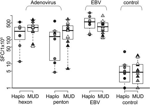 Figure 3. Virus-specific activity of CTL as determined by IFN-γ ELIspot assay. T-cell specificity and cytokine production were assessed using the IFN-γ ELIspot assay by direct stimulation with hexon pepmix (adenovirus), penton pepmix (adenovirus), irradiated EBV-LCL at an E/T ratio of 1:1 (EBV), and an irrelevant pepmix (control). Results are presented as SFCs/105 CTLs. Lines made from haploidentical donors are represented by circles (n = 8), and those made from matched unrelated donors are represented by triangles (n = 12).