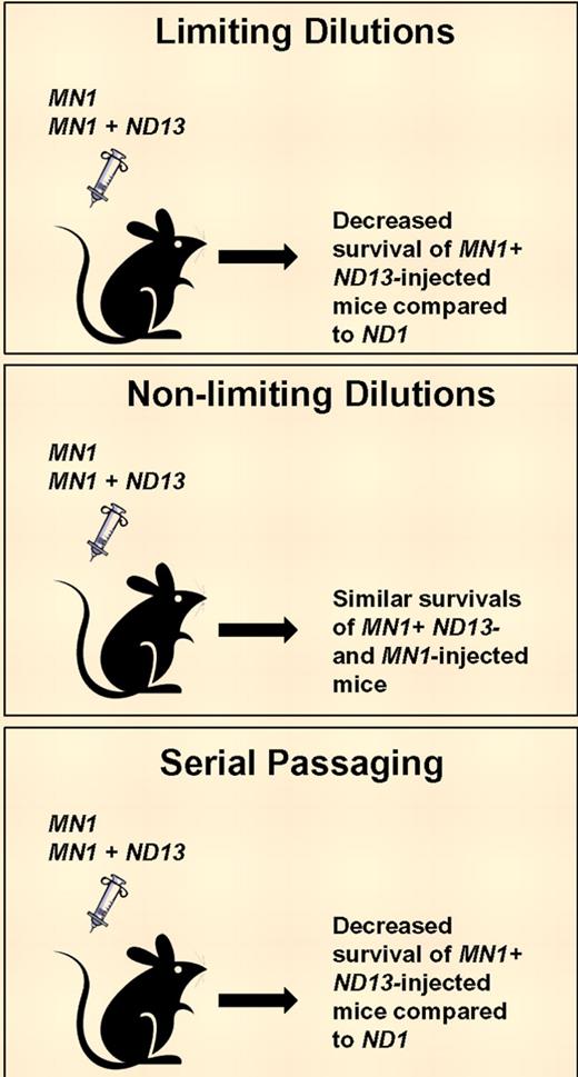 1- and 2-oncogene murine models of AML. Bone marrow cells were transduced with indicated oncogenes and injected at limiting dilutions, at nonlimiting dilutions, or after serial passaging.