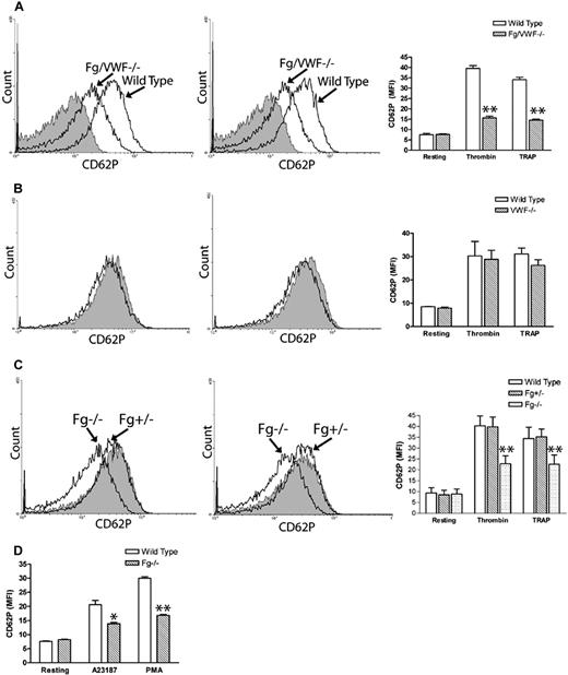 Figure 1. Fibrinogen, but not VWF, deficiency impaired P-selectin expression on the platelet surface. Gel-filtered platelets were incubated with either thrombin (left panels) or TRAP (middle panels), and P-selectin expression on the platelet surface was analyzed via flow cytometry (A-C). Right panels and Figure 1D indicate mean fluorescence intensity (MFI) ± SEM. (A) A significant decrease in platelet surface P-selectin expression was observed on thrombin- or TRAP-activated Fg/VWF−/− platelets compared with wild-type controls (arrow indicated); n = 3 (**P < .001). No significant difference in P-selectin expression was observed on resting Fg/VWF−/− platelets compared with wild type (shaded). (B) No significant difference in platelet P-selectin expression was observed on VWF−/− platelets (black) compared with wild type (shaded); n = 3, P = .85 (thrombin), P = .24 (TRAP). (C) A significant decrease in P-selectin expression on the surface of activated Fg−/− platelets (arrow indicated) was observed compared with wild-type littermate controls (shaded); n = 3 (**P < .001). No significant difference was observed between Fg+/− and wild type; n = 3 (P > .05). (D) A significant decrease in P-selectin expression on the surface of A23187- and PMA- activated Fg−/− platelets was observed compared with wild type; n = 3 (*P < .05, **P < .01, respectively).