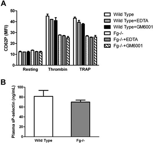 Figure 4. Impaired platelet surface P-selectin expression is unlikely due excessive shedding. (A) Wild-type and Fg−/− platelets were incubated with or without either EDTA or GM6001 before addition of thrombin or TRAP. P-selectin expression on the platelet surface was analyzed via flow cytometry. The mean MFI ± SEM from the results was plotted. No significant difference in platelet surface P-selectin expression was observed on Fg−/− platelets in the presence or absence of EDTA or GM6001. (B) Soluble P-selectin in blood plasma was detected by ELISA. There was no significant difference between Fg−/− and wild-type mice (n = 3; P = .26).