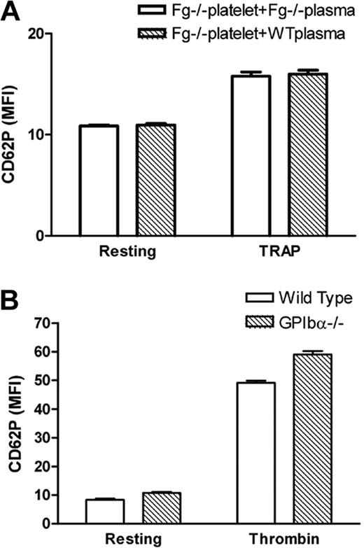 Figure 5. Impaired platelet surface P-selectin expression is unlikely due to deficient cell surface P-selectin binding. (A) Fg−/− platelets were incubated with either Fg−/− or wild-type plasma 60 minutes before addition of TRAP. There was no significant difference in Fg−/− platelet surface P-selectin expression in Fg−/− plasma or wild-type plasma (n = 3; P > .05). (B) P-selectin expression on gel-filtered wild-type and GPIbα−/− platelets was examined via flow cytometry. Higher expression of P-selectin on GPIbα−/− platelets likely reflects the larger size of GPIbα−/− platelets.