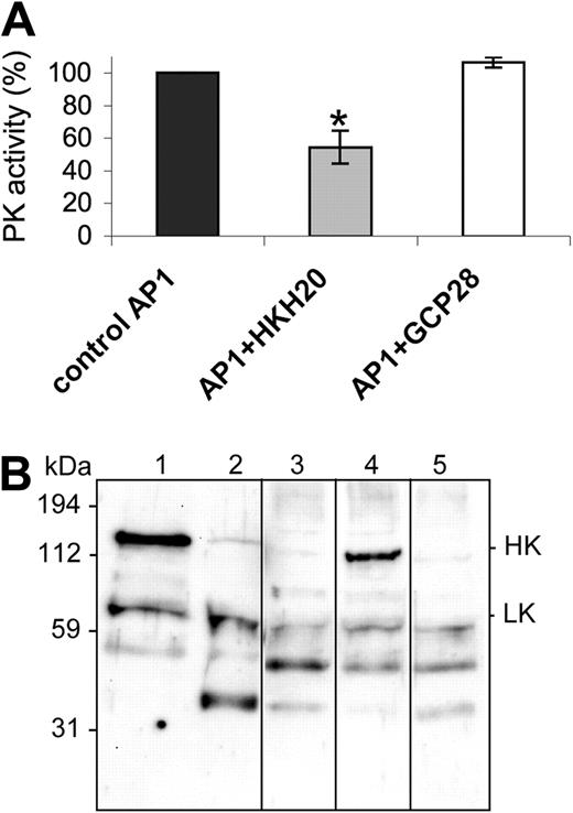 Figure 2. HKH20 inhibits S pyogenes-induced contact activation. (A) Human plasma was incubated with S pyogenes bacteria in the presence of 50 μM HKH20, GCP28, or buffer alone (control) for 30 minutes. Plasma was removed by centrifugation, and bacteria were washed and resuspended in substrate buffer. After 30 minutes of incubation, plasma kallikrein activity was measured in a substrate assay. Data are presented as percentage activity compared with the control; values are mean plus or minus SD (n = 3). *P < .05 by t test. (B) Human plasma was incubated with S pyogenes bacteria in the presence or absence of HKH20 or GCP28 for 15 minutes. Bacteria were washed, resuspended in buffer, incubated for 15 minutes, and spun down. Supernatants and plasma (nontreated or kaolin-treated) were analyzed by SDS-PAGE and Western blotting with antibodies against HK and LK: lane 1, normal plasma; lane 2, kaolin-treated plasma; lane 3, plasma proteins absorbed and released by S pyogenes; lane 4, plasma proteins absorbed and released by S pyogenes in the presence of 100 μM HKH20; lane 5, plasma proteins absorbed and released by S pyogenes in the presence of 100 μM GCP28. Vertical lines have been inserted to indicate a repositioned gel lane.