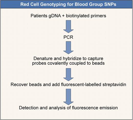 Figure 6. Red cell genotyping for blood group SNPs. Outline of a method to determine blood group SNPs based on that of Karpasitou et al.83 Many other methods are available (see also Hashmi et al,74 Hillyer et al,77 and Avent et al78). This one is illustrated because it is suitable for “in-house” development.