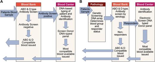 Figure 7. Assimilation of red cell genotyping into routine practice. (A) Depicts one scenario for incorporating red cell genotyping into routine practice based on technology currently available. It is also possible DNA-based testing could be undertaken at the blood bank or another laboratory. (B) Depicts one possible future scenario, assuming genetic screening with DNA arrays to identify disease susceptibility will become routine and a genetic test capable of identifying those patients (responders) likely to make alloantibodies to blood group antigens will be available.