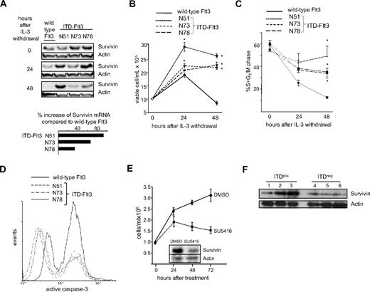 Figure 1. ITD-Flt3 mutations increase Survivin expression in Ba/F3 cells coincident with enhanced cell proliferation and reduction in active caspase-3. (A) Ba/F3 cells transduced with wild-type or ITD-Flt3 were cultured in RPMI-1640 with 1% HI-FBS in the absence of IL-3 for 24 and 48 hours. Survivin protein was determined by Western analysis. Representative data from 1 of 2 experiments are shown. The inset shows the percentage increase in Survivin mRNA expression in Ba/F3 cells ectopically expressing 3 different ITD-Flt3 constructs (N51, N73, and N78) compared with cells expressing wild-type Flt3 as determined by QRT-PCR. QRT-PCR was performed using Platinum SYBR Green qPCR SuperMix UDG. The primers for mouse Survivin were 5′-TGG CAG CTG TAC CTC AAG AA-3′ and 5′-AGC TGC TCA ATT GAC TGA CG-3′. The sequences for the mouse GAPDH primers were 5′-ATG GTG AAG GTC GGT GTG AAC G-3′ and 5′-GTT GTC ATG GAT GAC CTT GGC C-3′. (B) Proliferation of Ba/F3 cells expressing wild-type or ITD-Flt3 after IL-3 withdrawal. One million cells were seeded in RPMI-1640 plus 1% HI-FBS and total cell number was enumerated after 24 and 48 hours using trypan blue. Data shown are mean ± SEM for 1 of 3 experiments with identical results. *P < .05 compared with wild-type Flt3. (C) Percentage of Ba/F3 cells described in panel B in S+G2/M phase of the cell cycle. Cells were fixed in 1% paraformaldehyde and stained with 1 μg/mL propidium iodide. Cell cycle was analyzed by flow cytometry and ModFit software (Verity Software House, Topsham, ME). Data are mean ± SEM from 3 experiments. *P < .05 compared with wild-type Flt3. (D) Active caspase-3 in Ba/F3 cells expressing wild-type or ITD-Flt3 after IL-3 withdrawal for 48 hours. Cells were fixed in 1% paraformaldehyde and stained in 0.25% Triton X-100/1% BSA/PBS using PE conjugated anti–active caspase-3 antibody (BD Biosciences). Representative histogram for 1 of 2 experiments with identical results is shown. (E) Total cell proliferation and Survivin expression of ITD-Flt3+ human acute leukemia MV4-11 cells treated with the ITD-Flt3 inhibitor SU5416 for 72 hours. (F) Survivin expression in human primary ITD-Flt3+ or ITD-Flt3− AML cells. Lane 1: ITD-Flt3+ AML; normal cytogenetics. Lane 2: ITD-Flt3+ AML; normal cytogenetics. Lane 3: ITD-Flt3+ AML; normal cytogenetics. Lane 4: ITD-Flt3− AML; normal cytogenetics. Lane 5: ITD-Flt3− MLL (11q23). Lane 6: ITD-Flt3− AML; trisomy 13.