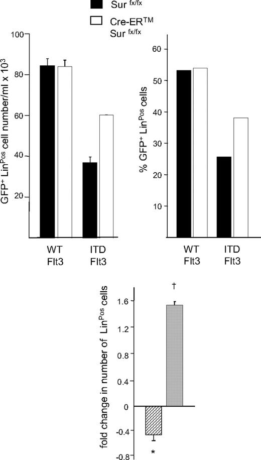 Figure 5. Effect of ITD-Flt3 and Survivin on expansion/differentiation of LinNeg cells. Absolute number and proportion of LinPos cells in cultures of LinNeg cells derived from Survivinflox/flox and Cre-ER Survivinflox/flox cells transduced with wild-type (WT) or ITD-Flt3 (N51) are shown. After retrovirus transduction, LinPos cells were depleted by magnetic-activated cell sorting (MACS) column (Miltenyi Biotec) and LinNeg cells were cultured with 50 ng/mL rmSCF and 10 ng/mL rmGM-CSF for 14 days in the presence of 1 μM 4OH-tamoxifen to induce Survivin deletion. The number and the proportion of GFP+ LinPos cells were determined by cell enumeration and flow cytometry. The inset shows fold change in LinPos cells in cultures of lineage-depleted control marrow cells expressing ITD-Flt3 versus wild-type Flt3 (▫) and fold change in LinPos cells in cultures of lineage-depleted Cre-ER Survivinflox/flox cells expressing ITD-Flt3 after Survivin deletion versus control Survivinflox/flox cells expressing ITD-Flt3 (). Data are mean ± SEM of 2 experiments. *P < .05 compared with wild type Flt3; †P < .05 compared with Survivinflox/flox.