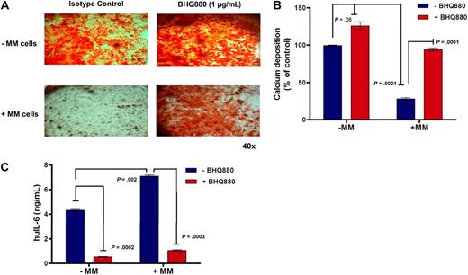 Figure 1. BHQ880 reverses the inhibitory effect of MM cells on osteoblastogenesis. (A) BMSC obtained from BM aspirate of MM patients were stimulated with OB differentiation media for 3 weeks in the presence of IgG1 isotype control antibody or 1 μg/mL BHQ880 and in the absence (top panel) or in the presence (bottom panel) of INA-6 MM cells. At the end of the culture period, the cells were fixed in 10% formaldehyde and stained with Alizarin Red for 30 minutes. (B) Calcium deposition was quantified in these cultures using osteogenesis assay kit. The amount of calcium deposits in differentiated BMSC treated with BHQ880 (red column) is expressed as percent of calcium deposition compared with differentiated BMSC treated with isotype control antibody (blue column) in the absence and presence of MM cells. (C) Supernatants from these assays were analyzed for huIL-6 level by ELISA. IL-6 production was suppressed after treatment with BHQ880 in supernatants from both cultures with and without MM cells.