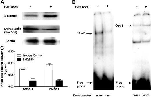 Figure 4. BHQ880 inhibits IL-6 production and MM cell adhesion and modulates β-catenin and NF-κB pathways in BMSC from MM patients. BMSC were incubated for 24 hours with 1 μg/mL isotype control or BHQ880. Cells were harvested and subjected to cell lysis. (A) Cytoplasmic fraction was subjected to immunoblotting using anti-phospho β-catenin antibody and anti–β-catenin antibody. (B) Nuclear fraction was subjected to EMSA for NF-κB binding activity. Oct-1 DNA binding activity by EMSA was used as internal control. (C) Nuclear proteins (15 μg) were analyzed for NF-κB activity using the Transcription Factor ELISA kit, which measures DNA binding activity. Absorbance was obtained with a spectrophotometer at 450 nm and is presented as optical density (OD).