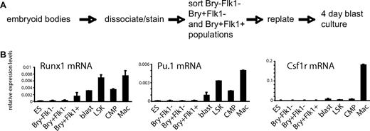 Figure 1. Hierarchy of transcription factor gene expression during ES cell differentiation. (A) Experimental strategy. Embryoid bodies were cultured for up to 3.75 days, and epiblast-like cells expressing neither marker (Bry−Flk1−), mesodermal cells expressing GFP only (Bry+Flk1−), and hemangioblast-enriched cell population expressing GFP and Flk-1 (Bry+Flk1+) were purified using fluorescence-activated cell sorting (FACS; supplemental Figure 1A). To obtain hematopoietic cells, we further cultured the (Bry+Flk1+) cells for 4 days under conditions supporting the generation of blast colonies and from these cultures isolated CD41+ cells, which have been shown to represent the first fully committed hematopoietic cells.39 (B) Timing of mRNA expression of hematopoietic regulator genes (Runx1, Pu.1, and Csf1r) in differentiating ES cells. ES indicates ES cells; blast, 4-day blast cell culture derived from +/+ cells; LSK, Lin−Sca-1+c-kithi cells; CMP, common myeloid precursor cell; and Mac, primary macrophages. Numbers in panel B represent mean values of 2 independent experiments analyzed in duplicate.