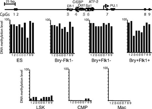Figure 3. Selective DNA demethylation at the Pu.1 promoter. DNA from the indicated cell types was subjected to bisulfite sequencing. (A) Map of the Pu.1 promoter indicating the position of CpGs and transcription factor binding sites. (B) Average DNA methylation levels of 20 independently sequenced clones.