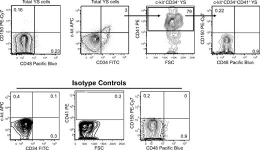 Figure 3. CD150 and CD48 expressing cells are not detectable in E9 YS. Representative analysis of E9 YS-derived cells analyzed by flow cytometry for the cell surface expression of c-Kit, CD34, CD41, CD150, and CD48. Isotype controls for each antibody are also shown.