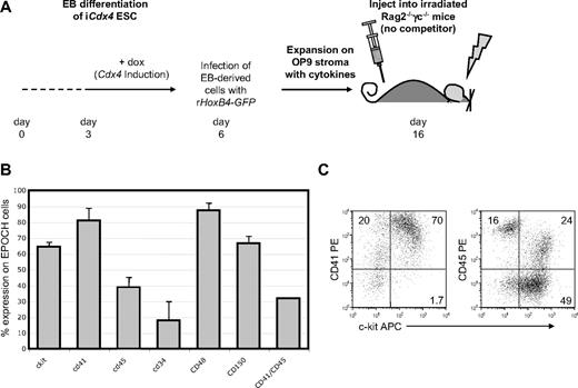 Figure 4. EPOCH cells are phenotypically heterogeneous. (A) To generate EPOCH cells, iCdx4 ESC differentiated in the presence of doxycycline (day 3 to day 6 of differentiation) were infected with retroviral MSCV-HoxB4-IRES-GFP and expanded on OP9 stroma with cytokines for 10 days before transplantation into irradiated Rag-2−/−γc−/− mice. (B) EPOCH cells expanded on OP9 stroma for 10 days were analyzed by flow cytometry for the expression of cell surface markers previously shown to be relevant to HSC biology (c-Kit, CD41, CD45, CD34, CD48, and CD150). Data presented are the summary of at least 3 independent experiments. (C) CD41, CD45, and c-Kit expression on surface of EPOCH cells is shown.