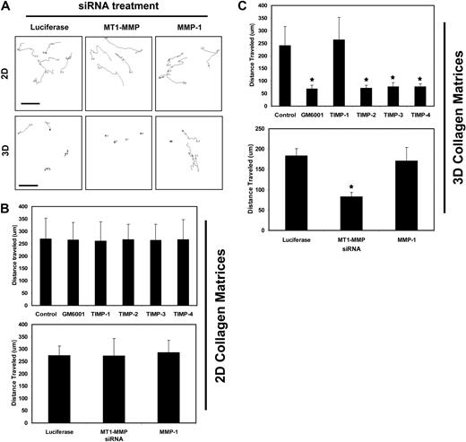 Figure 3. TIMPs 2, 3, and 4 and siRNA suppression of MT1-MMP block EC motility in 3D collagen matrices but not on 2D collagen substrates. (A-C) For 2D assays, nuclear GFP-labeled ECs were seeded on collagen coated plastic while for 3D assays, nuclear GFP-labeled ECs were placed into collagen gels. Time-lapse fluorescence microscopy was used to track cell motion using nuclei as a measure of EC migratory events. GM6001 was added to the culture media at 5 μM while the TIMPs were used at 5 μg/mL in the media. siRNA knockdown was performed in ECs for MT1-MMP, MMP-1, and Luciferase as control. n = 25 cells quantitated for each condition. P < .01 compared with control. (A) Representative overlays of tracking data are shown. The images show the movement of single cells after siRNA treatment on 2D collagen surfaces versus within 3D collagen matrices. Bar equals 100 μm.