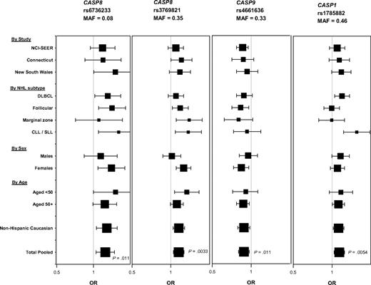 Figure 1. Association between the most noteworthy SNPs in CASP8, CASP9, and CASP1 and risk of NHL by study, NHL subtype, sex, age, and ethnicity, based on the additive model. Square symbols represent odds ratios; symbol size is proportional to number of cases. Horizontal lines represent 95% confidence intervals. The x-axis ranges from an odds ratio of 0.5 to 2.0. Number of cases and controls by study (NCI-SEER: 990 cases, 828 controls; Connecticut: 436 cases, 515 controls; New South Wales: 520 cases, 465 controls); by NHL subtype (DLBCL, n = 600; follicular, n = 540; marginal zone, n = 160; and CLL/SLL, n = 161); by sex (males: 840 cases, 711 controls; females: 1106 cases, 1097 controls); by age (< 50 years: 484 cases, 408 controls; age ≥ 50 years: 1462 cases, 1400 controls); and by ethnicity (non-Hispanic whites: 1751 cases, 1578 controls; all ethnicities combined: 1946 cases, 1808 controls). P values are from additive (ie, trend) model. MAF indicates minor allele frequency.