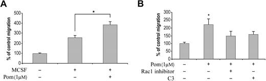 Figure 3. Pomalidomide induces monocyte migration. (A) Primary monocytes loaded on the upper chamber were incubated with DMSO or 1 μM pomalidomide. M-CSF was loaded on the bottom chamber as chemoattractant. Cells were allowed to migrate for 6 hours, and the migrated cells in the bottom chamber were determined. The amount of cells treated with DMSO is calculated as 100%. (B) Both Rho inhibitor C3 and Rac1 inhibitor decrease pomalidomide-induced monocyte migration. When C3 or Rac1 inhibitors were used, cells were preincubated with the inhibitors for 30 minutes before the addition of DMSO or pomalidomide. The amount of cells treated with DMSO is calculated as 100%. Columns and error bars represent mean (± SEM). Data represent average of 5 independent experiments (Student t test, *P < .05).