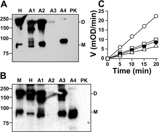 Figure 4. Anti-fXI monoclonal antibodies. Western blots of fXI and PK using (A) anti–human fXI IgG O1A6 or (B) anti–murine fXI IgG 14E11 as primary antibody. H indicates human fXI; M, murine fXI; A1, A2, A3, and A4, human fXI with PK domains A1, A2, A3, or A4, respectively; and PK, human PK. Positions of molecular mass standards are shown on the left. The uppercase D and M to the right of each panel indicate positions of fXI dimer and monomer (no interchain disulfide bond), respectively. Note that fXI/PKA4 is half the molecular mass of other fXI species because the fXI A4 domain mediates dimer formation. (C) Activation of 25 nM fXI with 5 nM fXIIa (○, ●) or 15 nM α-thrombin (□, ▵) in the presence (●, ▵) or absence (○, □) of 100 nM IgG 14E11.