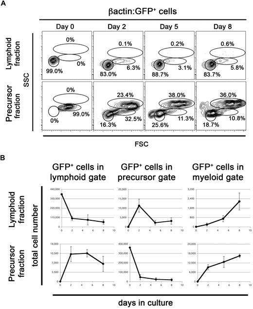 Figure 4. ZKS cells stimulate differentiation of hematopoietic precursors. (A) Populations containing hematopoietic progenitors differentiate in culture on ZKS cells. Lymphoid fraction from βactin:GFP+ WKM, which contains rare HSCs, was sorted, plated, and analyzed after culture for the time period indicated at top (top row). βactin:GFP+ WKM precursor fraction, which contains erythroid, myeloid, and lymphoid progenitors was sorted, plated, and analyzed after culture for time period indicated at top (bottom row). Reanalysis of sorted GFP+ lymphoid and precursor fractions from βactin:GFP+ WKM (day 0) shows 99% purity. Data are representative of 3 independent experiments. Scatter gates drawn as in Figure 2. (B) Total number of GFP+ lymphoid (left), precursor (center), and myeloid (right) cells present over time from cultured βactin:GFP+ lymphoid (top, circles) and precursor (bottom, diamonds) fractions (n = 3). Each graph depicts the mean and SD for 3 independent replicates.
