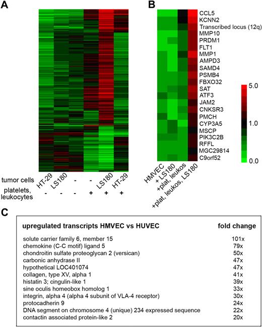 Figure 3. Coculture of endothelial cells with tumor cells and blood elements induces expression of inflammation-associated genes including CCL5. (A) Expression map (red indicates strong expression; green, no expression) of genes that were significantly differentially expressed (P < .05, ANOVA, Benjamini-Hochberg posthoc test) in HMVECs cocultured as indicated. (B) Expression map of the highest up-regulated endothelial transcripts in HMVECs cocultured with blood elements and LS180 cells (+plat, leukos, LS180) compared with HMVECs cocultured only with leukocytes and platelets (+plat, leukos). Mean expression of 3 independent experiments is presented by the indicated color code (P < .05 by 2-tailed Student t test). (C) Fold changes of genes that were strongly induced in HMVECs cocultured with blood elements and LS180 cells compared with human umbilical vein endothelial cells (HUVECs) cocultured in the same condition. Genes that were differentially expressed between quiescent HMVECs and quiescent HUVECs were previously subtracted from the list (P < .05 by 2-tailed Student t test).