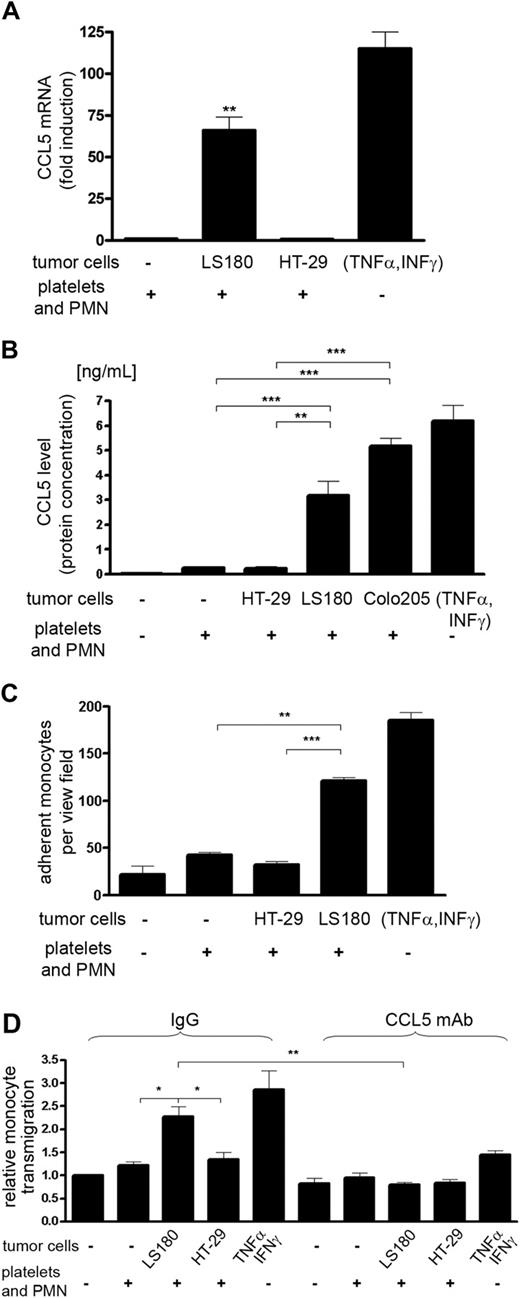 Figure 4. Endothelial CCL5 expression. (A) Detection of C-C chemokine ligand 5 (CCL5) mRNA in HMVECs purified from cocultures as indicated. Mean ± SEM; n = 3. As positive controls, HMVECs were stimulated with TNFα (10 ng/mL) and interferon γ (1 ng/mL). (B) CCL5 protein levels secreted by cocultured HMVECs and measured by cytometric bead array. The de novo CCL5 production was measured in the newly added medium after 12 hours. Mean ± SEM; n = 6-8. (C) Adherence of monocytes to HMVECs activated by different coculture conditions. Monocytes were allowed to adhere to HMVEC layers for 2 hours. Mean ± SEM; n = 4. (D) Migration of monocytes toward cocultured HMVECs. Migration of monocytes was determined in the presence of a CCL5-blocking antibody or of a corresponding isotype control IgG. Mean ± SEM; 3 independent experiments. Statistical significance was determined ANOVA with Bonferonni multiple comparison test; *P < .05, **P < .01, ***P < .001.