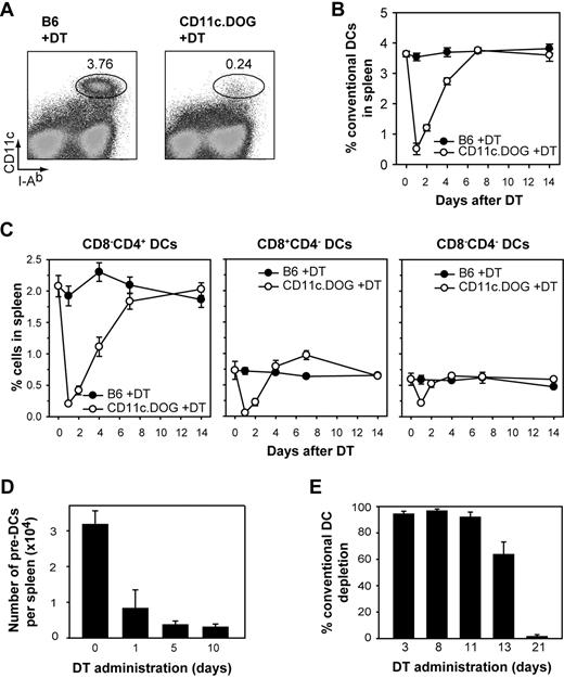 Figure 1. DC depletion in vivo by DT administration in CD11c.DOG mice. (A) Flow cytometry of splenocytes 24 hours after a single diphtheria toxin (DT) injection. Numbers indicate percentage of CD11chi MHC-II+ conventional DCs (cDCs). (B) Kinetics of cDC depletion and recovery in the spleen after a single DT injection (n = 4 for each time point). (C) Depletion kinetics and recovery of the CD8−CD4+, CD8+CD4−, and CD8−CD4− subpopulations of cDCs in the spleen after a single DT injection (n = 4 for each time point). (D) Number of pre-DCs per spleen after DT treatment. Results are expressed as mean values ± SEM (n = 4). The gating strategy to identify pre-DCs is shown in supplemental Figure 1. (E) Continuous depletion of cDCs in the spleen after daily DT application. Results are expressed as mean value ± SEM (n = 4 for each time point). Shown is 1 representative of 3 for all experiments.