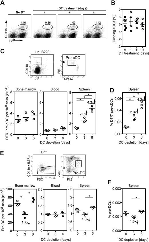 Figure 3. Immediate DC precursors are responsive to a decrease in number of differentiated DCs and DC precursors. Mixed BM chimera mice depicted in Figure 2A were treated with DT for the indicated period of time. (A) Splenic cDCs (CD11chiMHC-11+ cDCs) were analyzed for DNA content with propidium iodide at various time points after DT application, when the DC compartment was reduced (day 1 of DT treatment) and then expanding (days 5 and 11 of DT treatment). One representative mouse is shown for each time point. (B) Scatter plot summarizing the percentage of dividing (PI+) cDCs at different times points of DT administration from experiment shown in panel A (n = 7 for day 0, n = 4 for day 1, n = 5 for day 5, n = 4 for day 11 of DT treatment). Shown are individual mice, mean ± SEM. No statistically significant differences were observed (P = .406, ANOVA). (C top) Summarized gating strategy to identify pre-cDCs (full gating details on supplemental Figure 6); (bottom) scatter plot summarizing the number of DTR− pre-cDCs in BM, blood, and spleen after DC depletion in mixed BM chimeras as depicted in Figure 2A. (D) Scatter plot showing the frequency of DTR− pre-cDCs in the spleen after DT treatment. Note that DTR− pre-cDCs are only approximately 20% of the total pre-cDC compartment before DT treatment. (E top) Summarized gating strategy to identify pro-DCs (full gating details on supplemental Figure 9); (bottom) scatter plot summarizing the number of pro-DCs in BM, blood, and spleen in CD11c.DOG mice after DC depletion. (F) Scatter plot showing the frequency of pro-cDCs in the spleen of CD11c.DOG mice after DT treatment. (C-F) Representative of 3 experiments showing 3 individual mice (*P < .05, ANOVA).