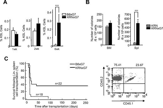 Figure 5. Characterization of HSCs and progenitors in KRNxG7 spleen. (A) Spleen from 1-, 2-, and 6-week-old B6xG7, KRN, and KRNxG7 mice were subjected to FACS analyses for cKit, Sca1, and lineage markers. The frequency ± SD of CD45+KSL− is shown on the y-axis (n ≥ 5). (B) BM and spleen cells from 6-week-old KRN and KRNxG7 mice were subjected to hematopoietic replating assay (n = 3). Hematopoietic colonies were counted 7 to 10 days after replating. (C) Lin− spleen cells from B6xG7 (CD45.2xCD45.2) or KRNxG7 (CD45.2xCD45.2) were transplanted into lethally irradiated B6xG7 (CD45.1xCD45.2) mice. Survival rate of the recipients is shown on the left. CD45.2+ cells were analyzed 3 months after transplantation. Representative FACS data are shown on the right. ***P < .001.
