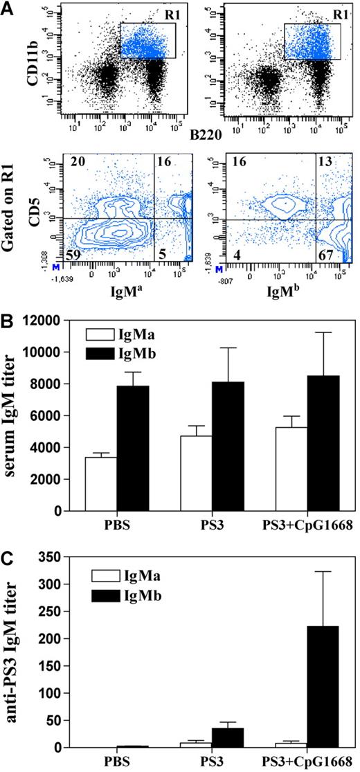 Figure 3. B-1a cells are not involved in the PS3 Ab response in the presence or absence of CpG1668. For production of allotype chimeras, irradiated C57BL/6 mice were reconstituted with BM from C57BL/6 mice Ighb and with B-1a cells from C57BL/6 mice Igha. Five weeks after reconstitution, chimeric mice (3 per group) were immunized intraperitoneally with PBS, PS3 alone, or PS3 followed by injection 2 days later with 80 μg CpG1668. Seven days after immunization, blood samples were collected, and peritoneal washings were harvested and analyzed by fluorescence-activated cell sorting staining. (A) Percentage of B-1a and B-1b cells expressing IgMa or IgMb in a mice immunized with PBS alone. R1 corresponds to the total B-1 population in the peritoneal washings. Percentages of each quadrant are indicated. (B) The total IgM titers of both allotype (IgMa and IgMb) were determined by ELISA. (C) The PS3-specific IgM titers of both allotype (IgMa and IgMb) were determined by ELISA. Results are expressed as means ± SEM of the values collected in 3 individual mice.