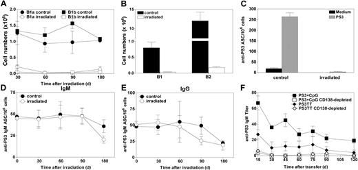 Figure 6. The CpG-adjuvanted PS3 vaccine generates long-lived BM plasma cells. (A-E) Ten-week-old mice were immunized with PS3 and injected 2 days later with CpG1668 before being irradiated at 7.5 Gy (750 rad) to deplete naive and memory B lymphocytes 45 days later. (A) Numbers of B-1a and B-1b cells in peritoneal washings determined by numeration and flow cytometry at the indicated time points, in control and irradiated mice. (B) Numbers of B-1 and B-2 cells in the spleen remaining 60 days after irradiation, determined as in panel A. (C) Numbers of B cells responsive to in vitro PS3 stimulation in peritoneal washings of mice immunized with the CpG-adjuvanted PS3 vaccine 180 days after irradiation. (D-E) The numbers of PS3-specific IgM (D) and IgG (E) ASCs in the BM of control and irradiated mice were determined by ELISPOT assay at the indicated time points. (F) Adoptive transfer of PS3-specific plasma cells results in prolonged PS3-specific Ab production in B cell–deficient mice. Donor C57BL/6 mice received a single injection of the CpG-adjuvanted PS3 vaccine or 2 sequential injections of PS3TT with a 28-days interval. Forty days after the last injection, total femoral BM cells or CD138-depleted BM cells were adoptively transferred into naive B cell–deficient (μMT) mice. Each recipient mice received 3.5 × 104 PS3-specific ASCs (from donors immunized with the CpG-adjuvanted PS3 vaccine) or 2.25 × 104 PS3-specific ASCs (from donors immunized with the PS3-TT vaccine). Sera were collected at the indicated time points after transfer, and PS3-specific IgM titers were determined by ELISA. Results are expressed as means ± SEM of the values collected in 5 individual mice.