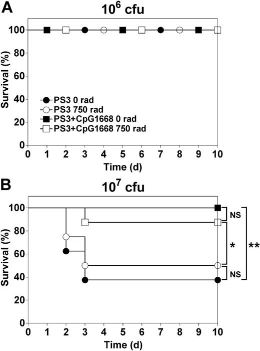 Figure 7. PS3-specific BM plasma cells are sufficient to promote full protection against Streptococcus pneumoniae infections. Ten-week-old mice were immunized with PS3 or PS3 followed 2 days later by injection of CpG1668 and irradiated or not 45 days later. Fifteen days after irradiation, 2 mice per group were checked for depletion of total B-1, B-1a, B-1b, and B-2 cells in peritoneal washings as well for the frequency of the PS3-specific lymphocytes as described in Figure 6A and B. In all irradiated groups, B-cell depletion was superior to 98% irrespective of the B-cell subset considered, and the frequencies of PS3-specific lymphocytes in peritoneal washings were reduced at least 100-fold compared with control mice. Fifteen days after irradiation, the survival of nonirradiated and irradiated immune mice (8 per group) was then monitored after challenge with 106 (A) or 107 cfu (B) of live S pneumoniae.