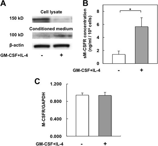 Figure 2. GM-CSF and IL-4 in combination cleave membrane-bound M-CSFR in monocytes. (A) Cell lysates and culture supernatants were harvested after culturing monocytes for 48 hours in the presence or absence of GM-CSF and IL-4 in combination. M-CSFR immunoreactivity was analyzed by immunoblotting with an antibody against an M-CSFR extracellular domain. (B) Monocytes isolated from healthy donors (n = 12) were cultured for 48 hours in the presence or absence of GM-CSF and IL-4 in combination. Soluble M-CSFR levels in the culture supernatants were measured by ELISA. Data are expressed as means ± SD; *P < .05. (C) M-CSFR mRNA expression in monocytes cultured for 6 hours in the absence or presence of GM-CSF and IL-4 in combination was quantified by real-time PCR.