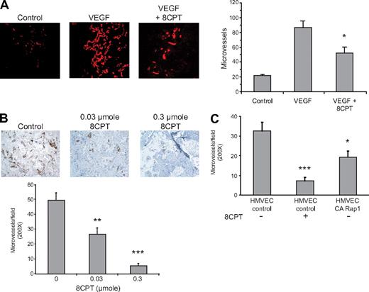 Figure 1. Epac/Rap1 activation suppresses angiogenesis in vivo. (A) Matrigel plugs were implanted into 3 groups, as follows: negative control group received Matrigel with no supplements (left panel), and the remaining 2 received Matrigel supplemented with VEGF (200 pg/mL) and heparin (60 U/mL), with (right) or without (center) 2.5 μmol 8CPT. No further addition of 8CPT was performed during the experiment. Blood vessels were stained with anti-CD31 and rhodamine-conjugated secondary antibodies. Microvessel density was plotted for each group. Bars show ± SE. *P < .05 (n = 4). (B) Biodegradable scaffolds containing HMVECs were implanted in SCID mice, as described in “Methods.” Daily subcutaneous injections of buffer alone (control vehicle, left panel), 0.03 μmol (center), or 0.3 μmol (right) of 8CPT were performed for 5 days. Sections of implants were stained with an anti–human CD31 antibody to detect blood vessels. Secondary antibodies were peroxidase conjugated, and the chromagen was diaminobenzidine. Pictures shown are a representative field from each treatment group. The number of CD31-positive microvessels was counted in 10 random fields per scaffold using optical microscopy and plotted. Bars show ± SE. **P < .01; ***P < .001 (n = 6). (C) SCID angiogenesis assay was performed as in (B), except HMVECs expressed either CA Rap1 or control vector. Bars show ± SE. *P < .05; ***P < .001 (n = 6).
