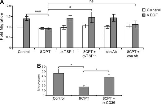Figure 5. Blockade of TSP1/CD36 rescues inhibition of endothelial cell chemotaxis and angiogenesis by 8CPT. (A) HMVEC chemotaxis assay. Analysis of cells migrating to VEGF (200 pg/mL) after treatment with 8CPT (2.5μM), anti-TSP1 antibody (A4.1), 8CPT and anti-TSP1 (2 μg/mL), isotype control antibody (IgM, 2 μg/mL), or 8CPT and isotype control. Bars represent normalized means ± SD (n = 4 experiments, each with 4 replicates). ns, not significant; *P < .05; ***P < .001. (B) In vivo Matrigel plug angiogenesis assay. Mice were injected with Matrigel supplemented with VEGF (200 pg/mL); VEGF, 8CPT (2.5μM), and isotype control antibody; or VEGF, 8CPT, and anti-CD36 (FA-152) antibody. Microvessel density was counted, as described in “Methods.” Bars show mean ± SE (n = 5). *P < .05.