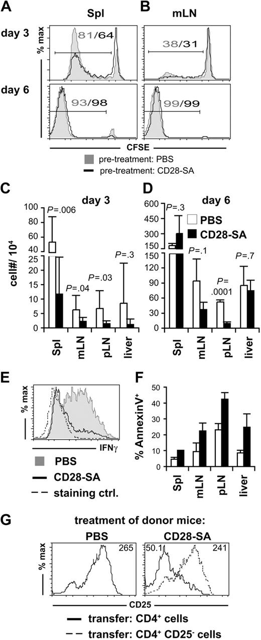 Figure 3. Reduced accumulation and differentiation of pathogenic CD4+ cells in the presence of CD28-SA–activated Treg cells. CFSE dye dilution among CD4+ CD90.1+ Foxp3− donor T cells recovered from (A) spleen (Spl) or (B) mesenteric LNs (mLN) 3 and 6 days after transplantation into lethally irradiated BALB/c mice. Numbers indicate the frequencies of CFSElow cells. Absolute numbers of donor CD4+ Foxp3− T cells in Spl, mLN, peripheral LNs (pLN), and liver 3 (C) and 6 (D) days after transplantation. Data from 3 independent experiments were pooled, and bars represent means ± SD of 3 to 9 mice per group. (E) IFNγ expression by CD4+ CD90.1+ Foxp3− cells isolated from mLN of BALB/c mice 6 days after transplantation. As a control cells from PBS-treated donors were stained for IFNγ expression without restimulation in vitro. (F) The percentages of annexin V+ cells among CD4+ CD90.1+ Foxp3− donor T cells were determined on day 6 after transplantation (PBS, n = 3; mLN, n = 2). (G) Polyclonally activated Treg cells suppress CD25 expression by Foxp3− donor CD4+ cells. Cells were isolated from spleens 4 days after transplantation. Numbers indicate mean fluorescence intensities.