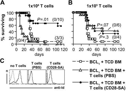 Figure 4. T cells maintain antilymphoma activity after in vivo pretreatment of donor mice with a CD28-SA. (A) Survival of lethally irradiated BALB/c mice inoculated with BCL1 lymphoma cells 4 hours before TCD BM cell transfer. 106 T cells (A) or 105 T cells (B) from donor mice treated as indicated were transferred together in 1 experiment with the TCD BM cells and in the other 4 days later. Both experiments rendered similar results. Therefore, data from the 2 experiments were pooled (n = 12). Differences between mice receiving donor T cells and the TCD BM only group were subjected to statistical testing. Numbers in parentheses indicate animals with end-stage lymphoma/animals analyzed. (C) The histograms show the detection of BCL1 idiotype-positive cells (black) in the spleens of mice from the indicated groups. A control staining without the anti-idiotypic antibody is depicted in gray.