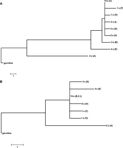 Figure 2. Clonal evolution trees. Clonal evolution trees constructed by MEGA algorithms and tools (maximum parsimony, bootstrap tree) for case P0103 from subset 4. (A) Nucleotide tree. (B) AA tree. s indicates subcloned sequence.
